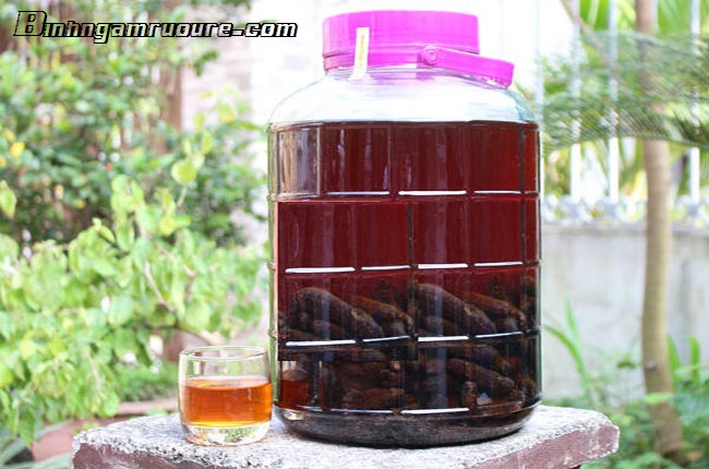 Top 5 đồ ngâm rượu thường được ngâm nhiều vào ngày tết Top 5 đồ ngâm rượu thường được ngâm nhiều vào ngày tết