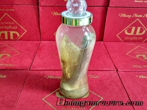 Hướng dẫn cách ngâm rượu nhung hươu tốt cho sức khỏe Hướng dẫn cách ngâm rượu nhung hươu tốt cho sức khỏe