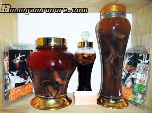 Hướng dẫn cách ngâm rượu nhung hươu tốt cho sức khỏe Hướng dẫn cách ngâm rượu nhung hươu tốt cho sức khỏe