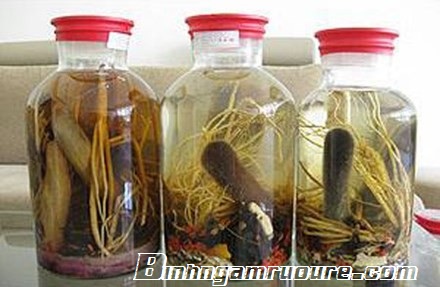 cách ngâm rượu nhung hươu khô cách làm rượu nhung hươu cách ngâm rượu nhung nai cách làm nhung hươu ngâm rượu cách làm nhung hươu tươi ngâm rượu cách dùng nhung hươu ngâm rượu cách ngâm rượu nhung hươu khô cách làm rượu nhung hươu cách ngâm rượu nhung nai cách làm nhung hươu ngâm rượu cách làm nhung hươu tươi ngâm rượu cách dùng nhung hươu ngâm rượu
