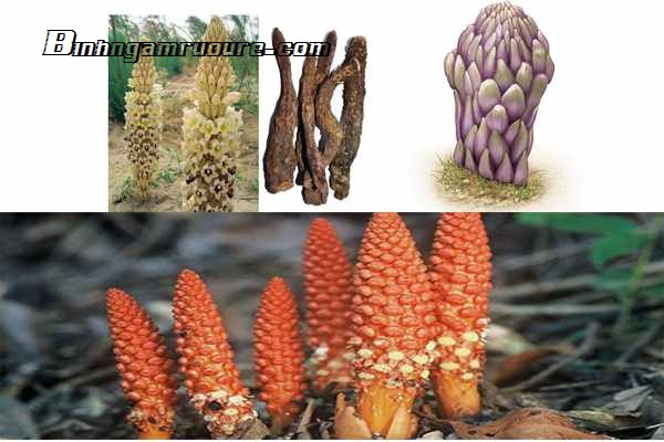 cach-nhan-biet-nhuc-thung-dung-don-gian-nhat