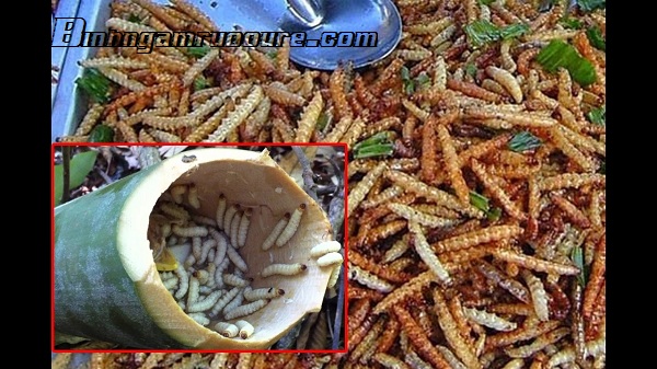 phan-biet-sau-chit-va-sau-tre-khi-ngam-ruou phan-biet-sau-chit-va-sau-tre-khi-ngam-ruou