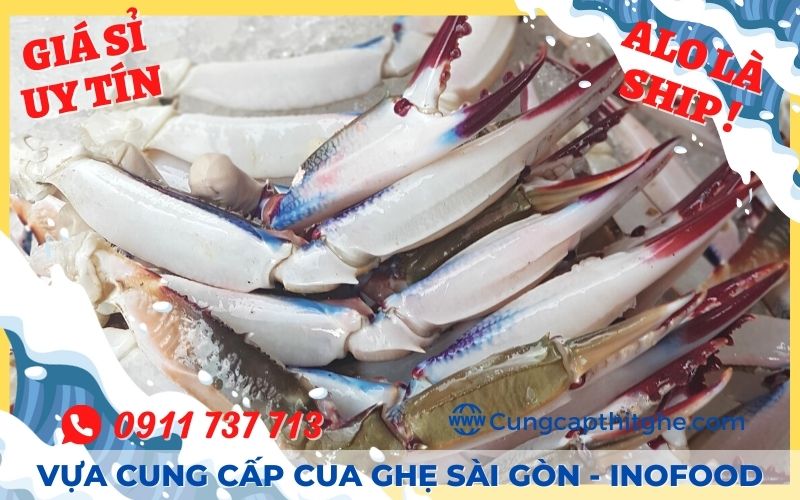 Giá ghẹ Ninh Thuận tại TPHCM bao nhiêu tại vựa cung cấp cua ghẹ