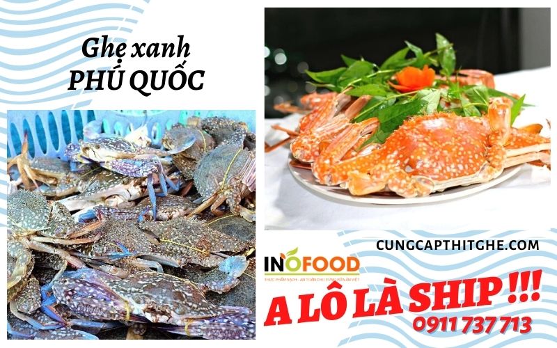 Đặc điểm nổi bật của ghẹ c&agrave;ng xanh Ph&uacute; Quốc