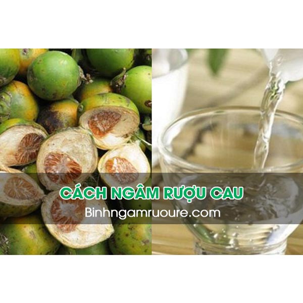 C&aacute;ch ng&acirc;m rượu cau - uống rượu ng&acirc;m quả cau c&oacute; tốt kh&ocirc;ng ?