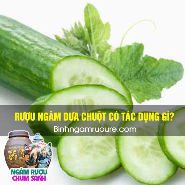 rượu ng&acirc;m dưa chuột - dưa chuột ng&acirc;m rượu c&oacute; c&ocirc;ng dụng g&igrave; ?