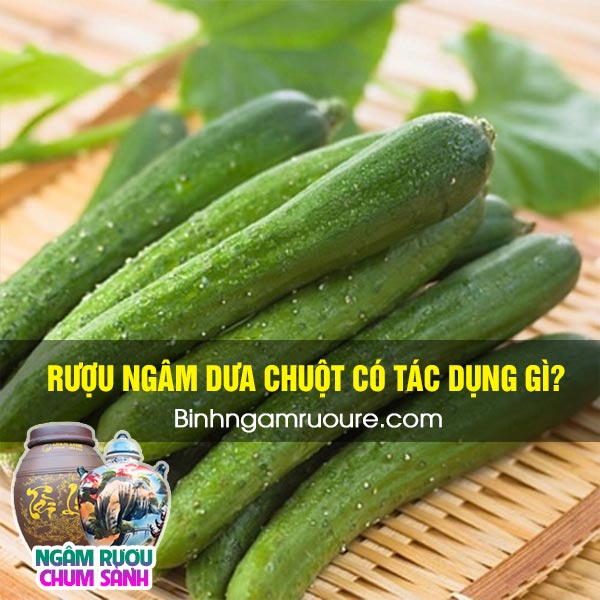 rượu ng&acirc;m dưa chuột - dưa chuột ng&acirc;m rượu c&oacute; c&ocirc;ng dụng g&igrave; ?