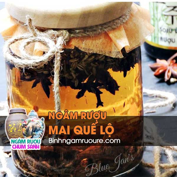 rượu mai quế lộ có tác dụng gì ? Cách ngâm rượu mai quế lộ | bình ngâm rượu rẻ rượu mai quế lộ có tác dụng gì ? Cách ngâm rượu mai quế lộ | bình ngâm rượu rẻ