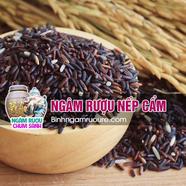 cách ngâm rượu gạo nếp cẩm thơm ngon - bảo quản rượu nếp cẩm như thế nào? | Ngâm rượu chum sành cách ngâm rượu gạo nếp cẩm thơm ngon - bảo quản rượu nếp cẩm như thế nào? | Ngâm rượu chum sành