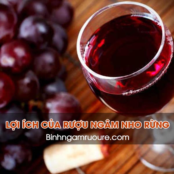 các loại rượu ngâm chữa bệnh - ngâm rượu gì tốt cho sức khỏe | Ngâm rượu chum sành