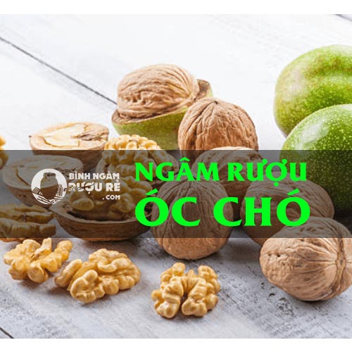 Hướng dẫn ng&acirc;m rượu quả &oacute;c ch&oacute; - c&ocirc;ng dụng rượu ng&acirc;m &oacute;c ch&oacute;