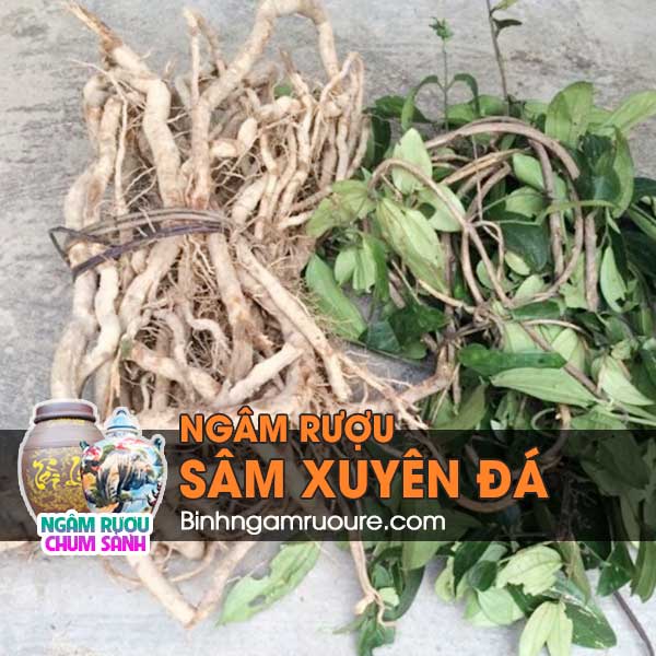 Tổng hợp các loại rượu ngâm tốt cho sức khỏe - rượu thuốc bồi bổ cơ thể | Ngâm rượu chum sành Tổng hợp các loại rượu ngâm tốt cho sức khỏe - rượu thuốc bồi bổ cơ thể | Ngâm rượu chum sành