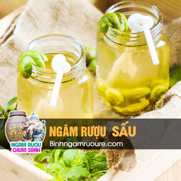 hướng dẫn ng&acirc;m rượu sấu - c&ocirc;ng dụng của rượu ng&acirc;m sấu | Ng&acirc;m rượu chum s&agrave;nh