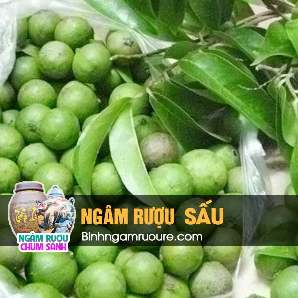 hướng dẫn ng&acirc;m rượu sấu - c&ocirc;ng dụng của rượu ng&acirc;m sấu | Ng&acirc;m rượu chum s&agrave;nh