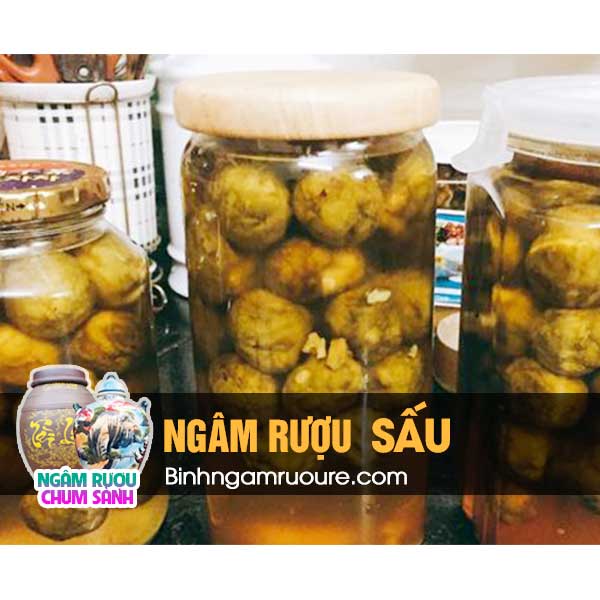hướng dẫn ng&acirc;m rượu sấu - c&ocirc;ng dụng của rượu ng&acirc;m sấu | Ng&acirc;m rượu chum s&agrave;nh