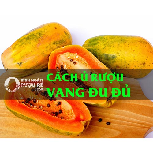 C&aacute;ch l&agrave;m rượu vang đu đủ thơm ngon đơn giản tại nh&agrave;