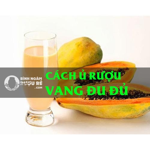 C&aacute;ch l&agrave;m rượu vang đu đủ thơm ngon đơn giản tại nh&agrave;