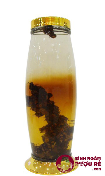 binh-thuy-tinh-gia-re binh-thuy-tinh-gia-re