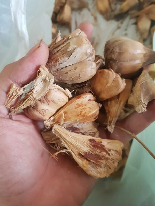 C&ocirc;ng dụng của dứa dại rừng
