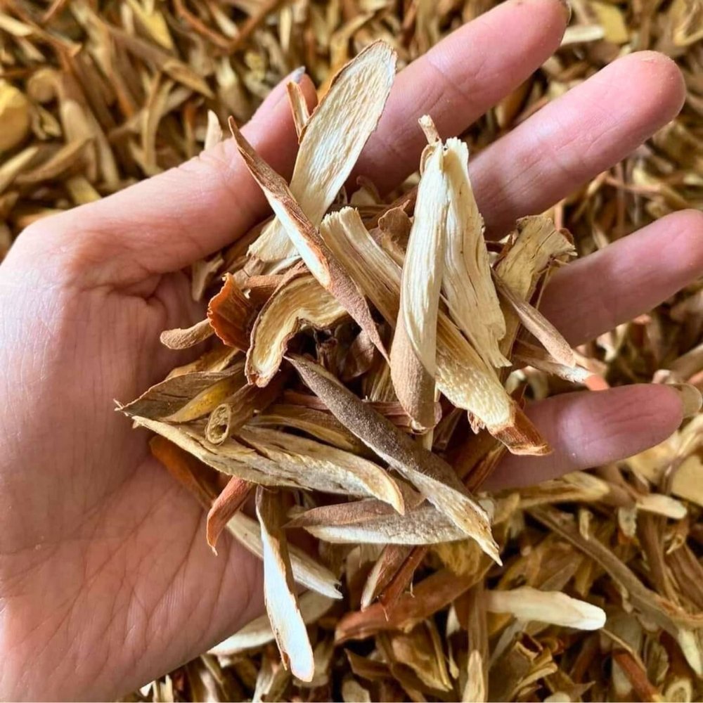 C&ocirc;ng dụng của s&acirc;m cau đỏ sấy kh&ocirc;
