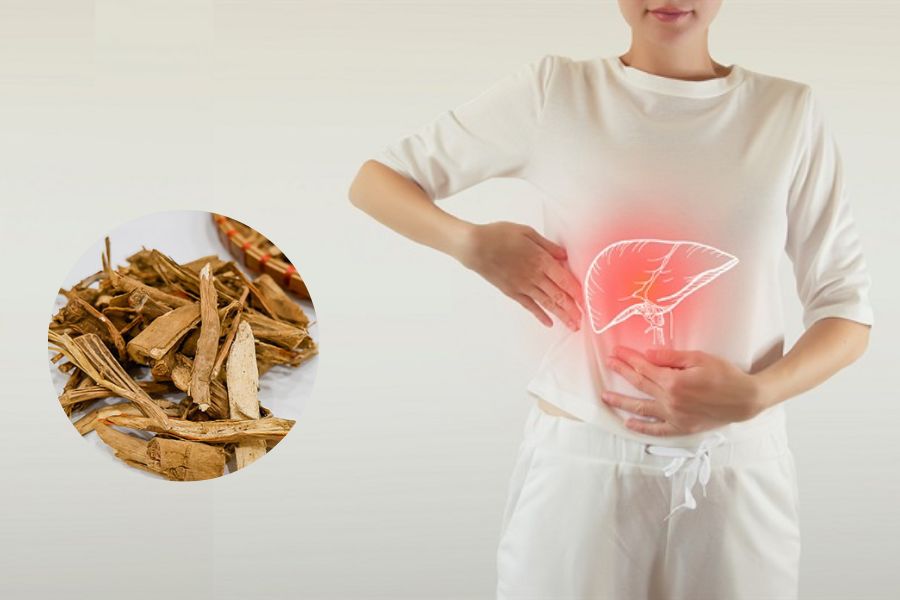 Đối tượng không nên dùng sâm cau đỏ sấy khô Đối tượng không nên dùng sâm cau đỏ sấy khô