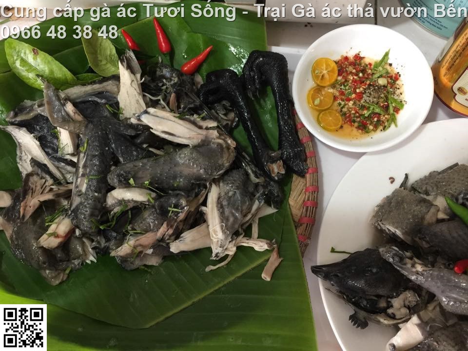 Cung c&aacute;p g&agrave; &aacute;c, m&oacute;n ăn ngon từ g&agrave; &aacute;c