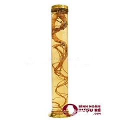binh-tru-han-quoc-no81-9-5-lit-fit81