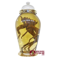 binh-ngam-ruou-yongcheon-han-quoc-no23-30-lit-big2