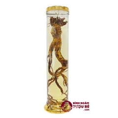 binh-tru-han-quoc-no20-20-lit-high20
