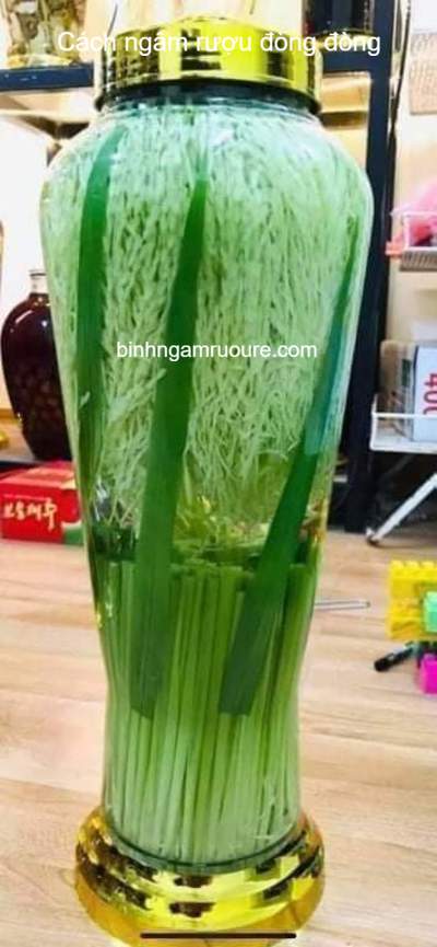 hướng dẫn c&aacute;ch ng&acirc;m rượu đ&ograve;ng đ&ograve;ng