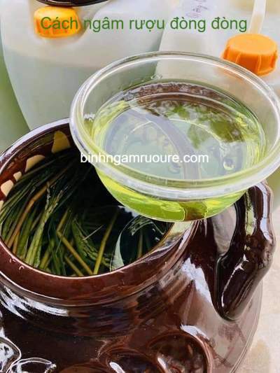 hướng dẫn c&aacute;ch ng&acirc;m rượu đ&ograve;ng đ&ograve;ng