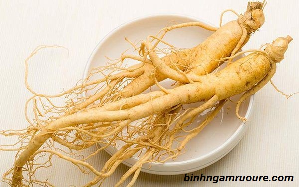 rượu ng&acirc;m nh&acirc;n s&acirc;m - c&ocirc;ng dụng v&agrave; c&aacute;ch ng&acirc;m rượu nh&acirc;n s&acirc;m