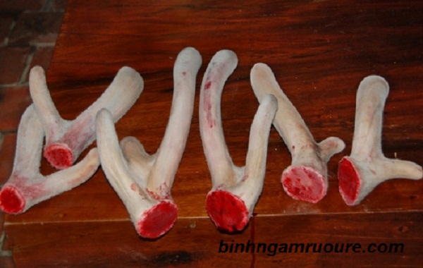c&acirc;y thuốc phiện ng&acirc;m rượu như thế n&agrave;o - rượu ng&acirc;m thuốc phiện c&oacute; c&ocirc;ng dụng g&igrave;?